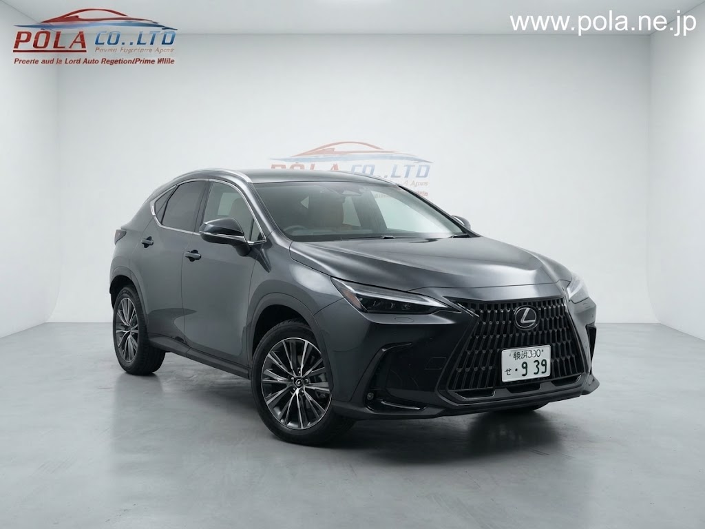 NX Hybrid